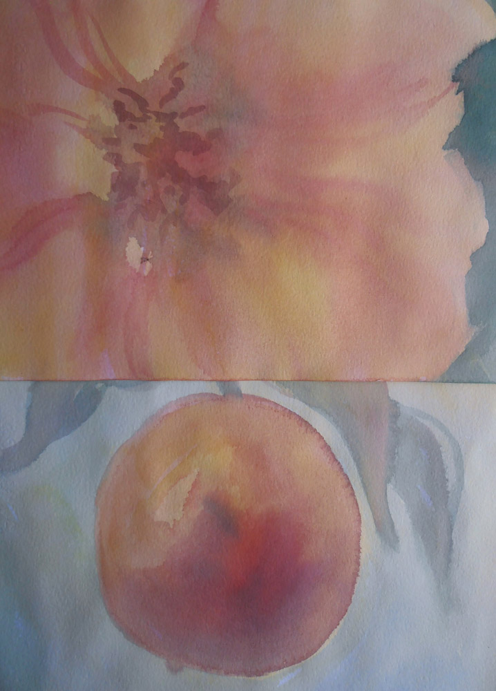 metamorphosis of a peach